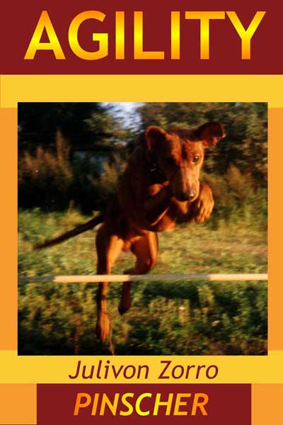 Zorro jump!