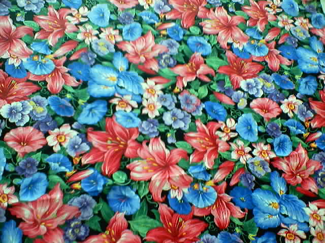 Botanic Garden - lillies and morning glories