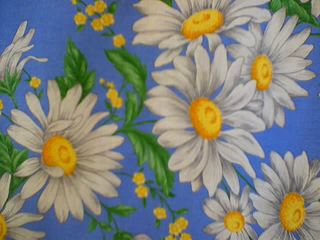 Daisies