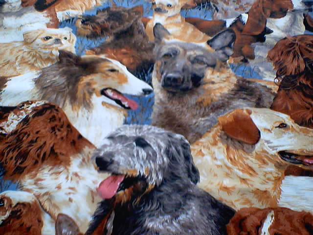 Doggies