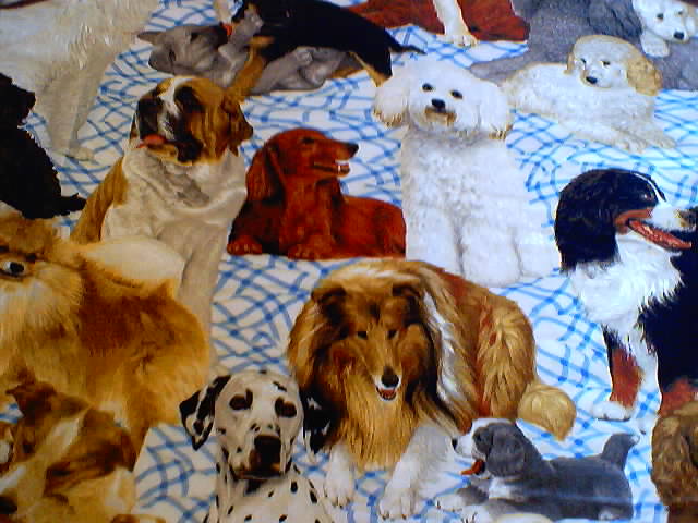 Doggies & Puppies