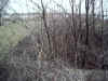 FWABehindWall2.JPG (102987 bytes)