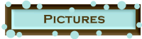 pictures