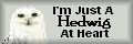 ~ I'm Just a Hedwig at heart~