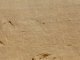 The Chariots (rock drawings)
