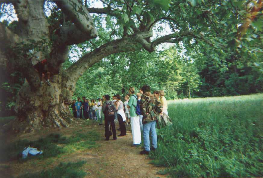 On nature trail in the school vicinity