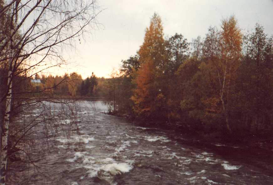 Autumn at Kermankoski
