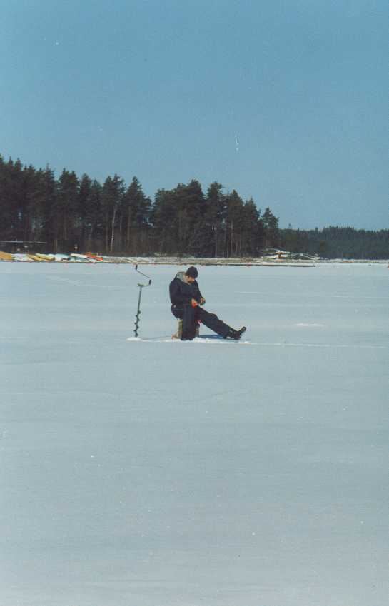 Wish for more winter pictures?