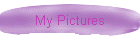 My Pictures