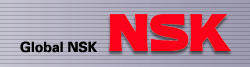 Global NSK