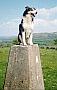 This is Skippy on the hill beside my house. She actually managed to jump on to that pillar by herself! eerr honest ...
