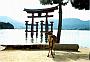 A gentle deer enjoying the sight of Miyajima's Tori in Hiroshima.