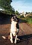 Darling Skippy!