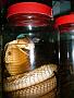 Wine Vietnam style! This snake wine, if drank twice daily, is meant to make you strong and healthy!