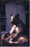 "Outdoor Cat" in bronze