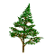 cs_tree.gif (4722 bytes)