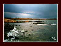 Sea