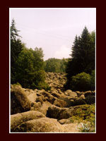 Vitosha