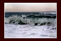 Wave
