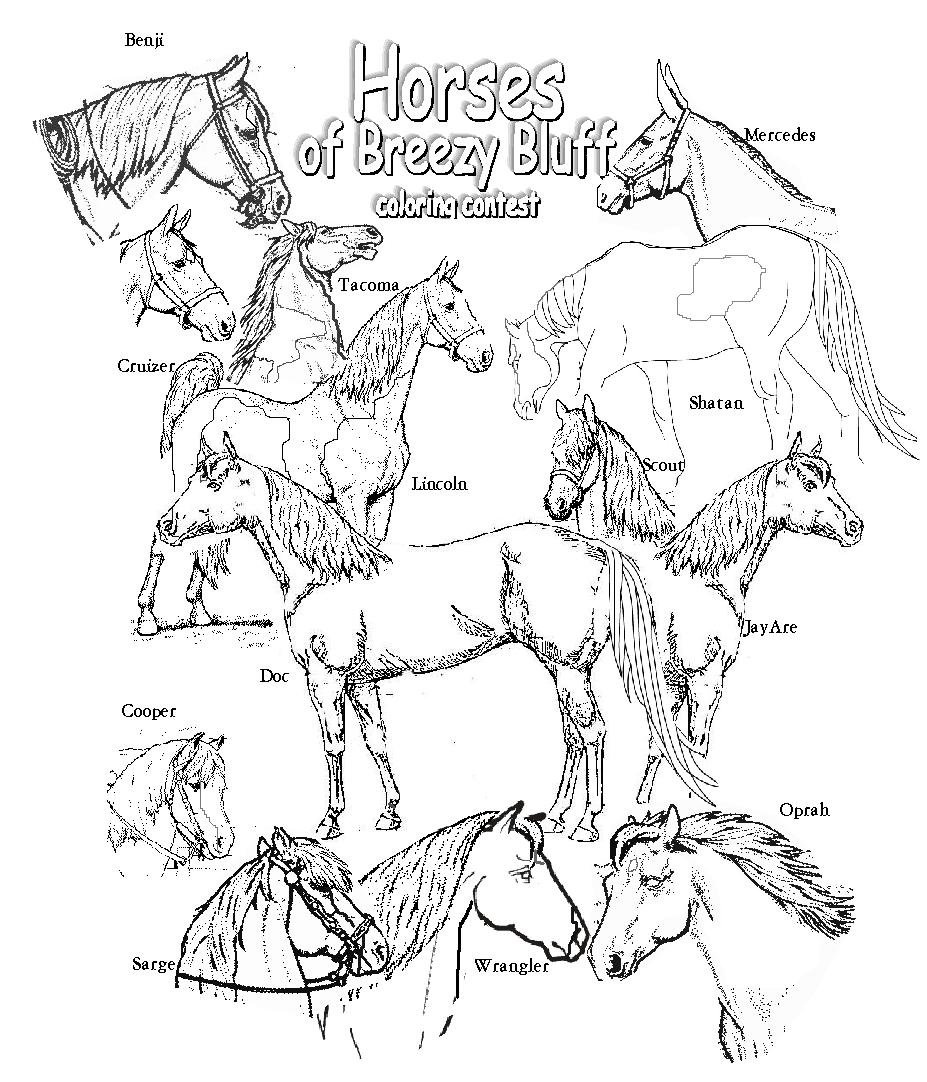color this page for the Christmas Contest !