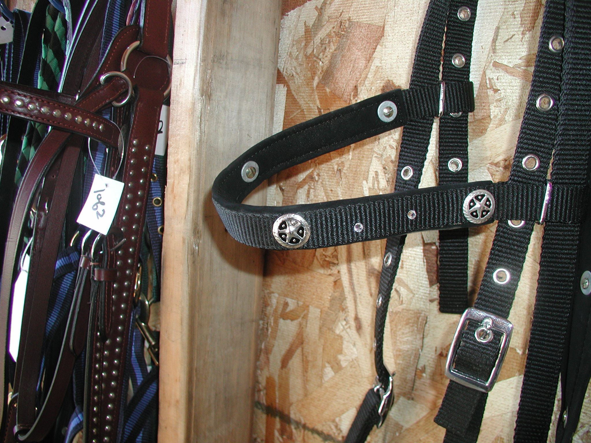detail of Tex Star Headstall