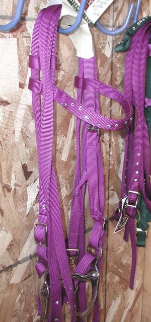 horse size complete purple bridle, headstall, reins, curb strap and reins $45