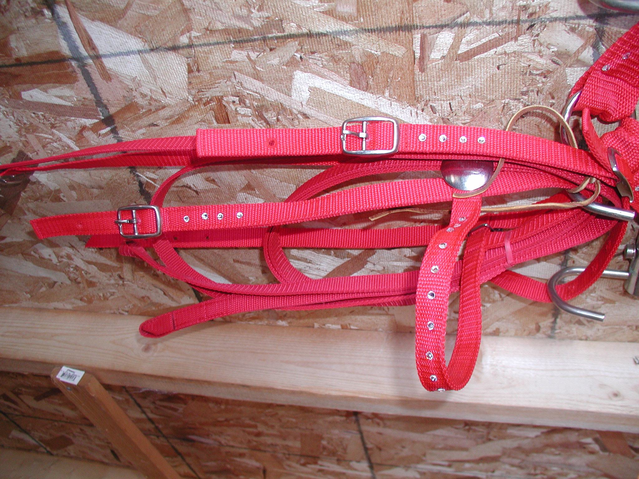 Headstall, Reins, Breast Collar Red Horse size $65