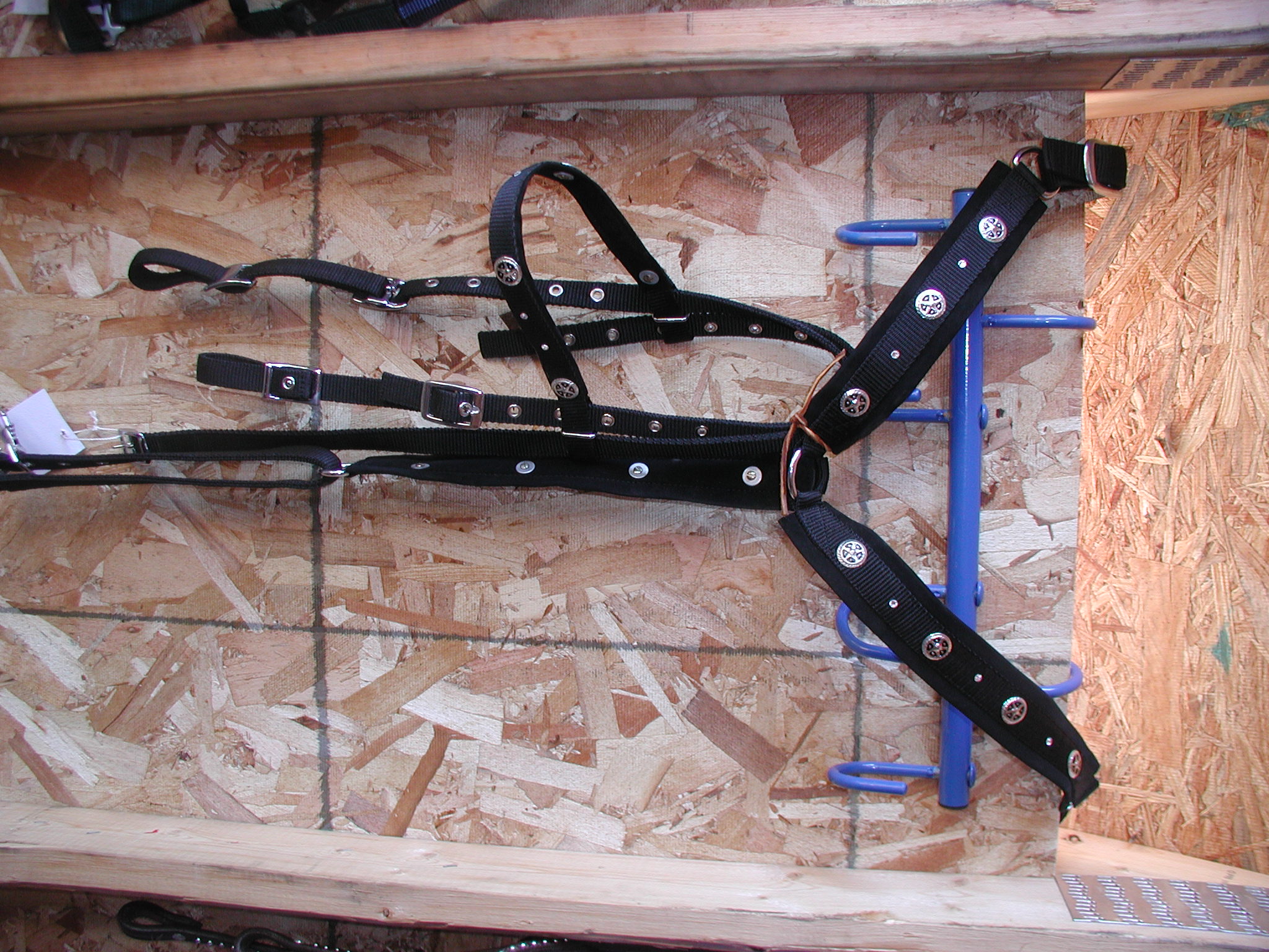 Texas Star Headstall and Breast collar and Reins $65 cob/lg Pony