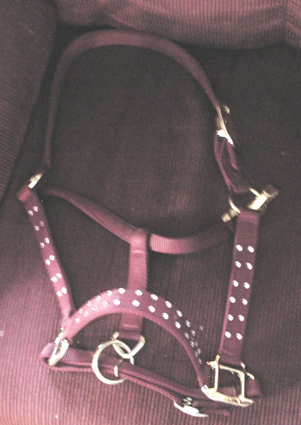 burgundy double jeweled horse size $27