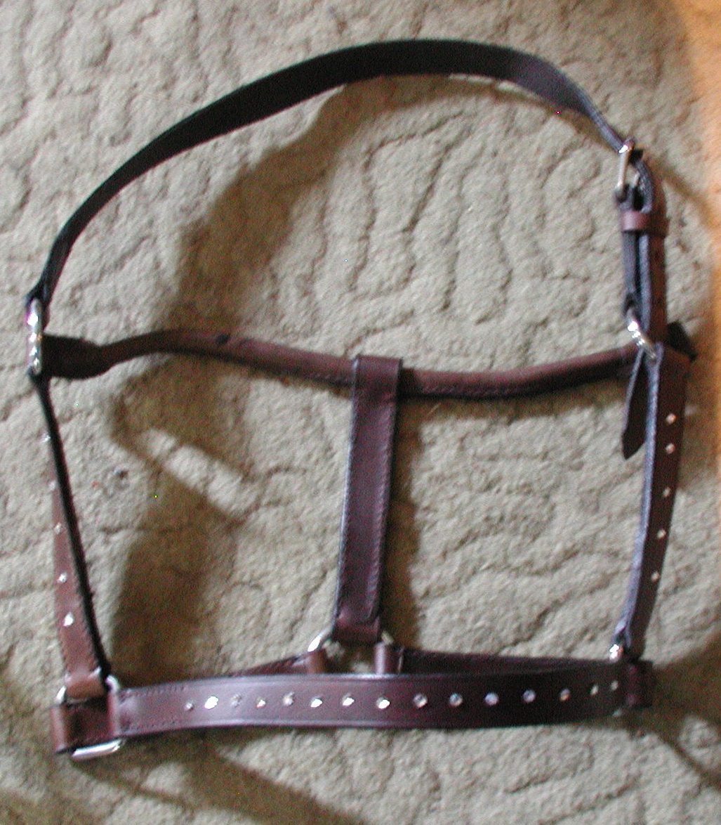 halter Leather HOrse size $35