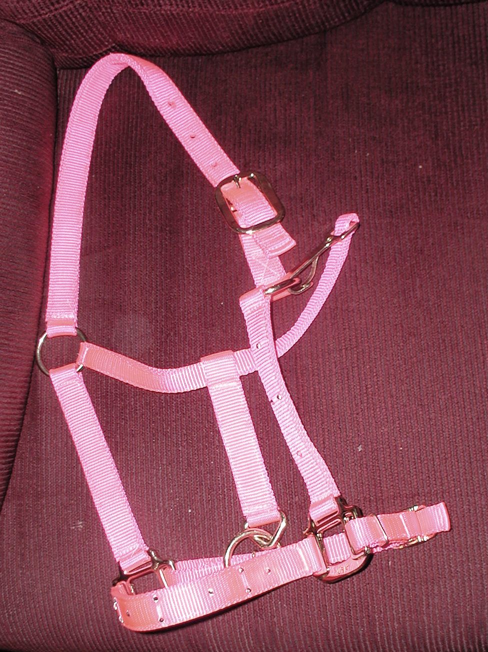 halter horse size pink $25