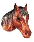 you wont regret coming to Breezy Bluff!