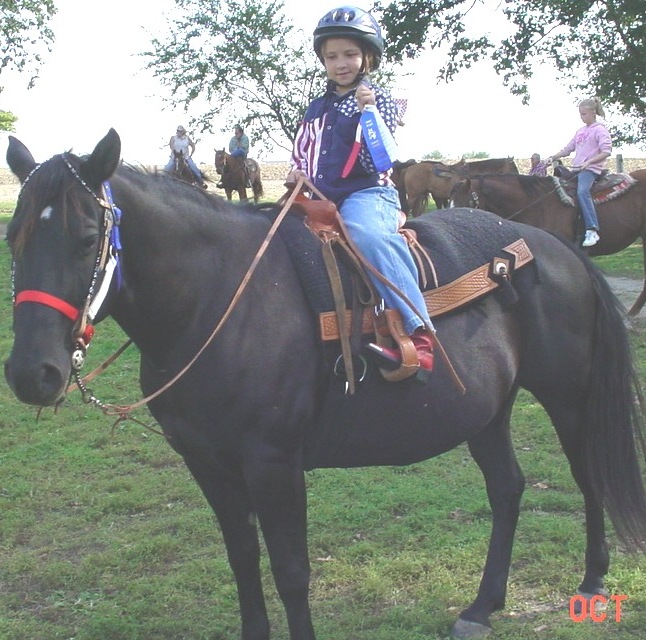 Rachel on Oprah at a local show rakes in the ribbons!