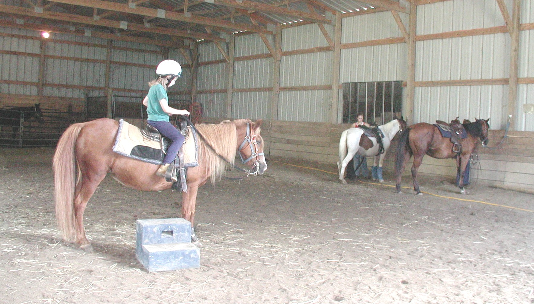 pony campers saddle up too