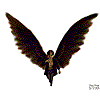 Black Wings