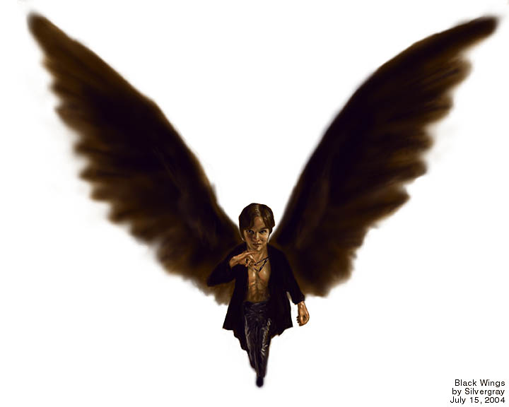 Black Wings