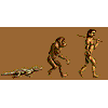 Size Comparison