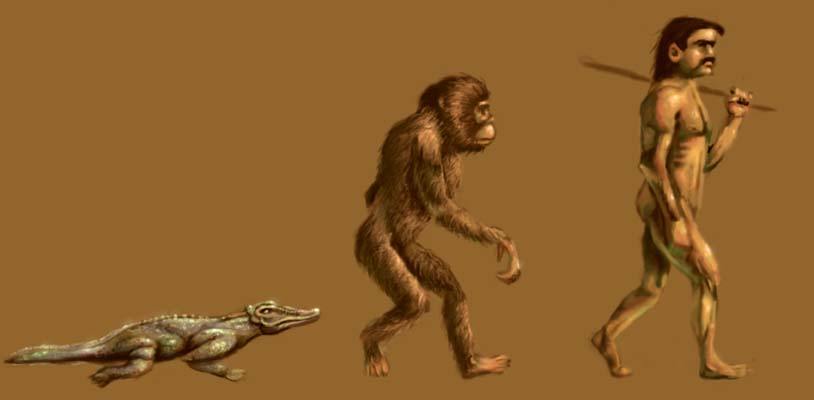 Size Comparison