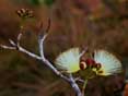 thumbnail of your picture 27