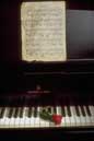 thumbnail of your picture 18
