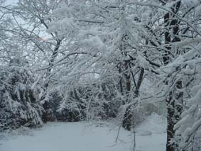 looking out my window