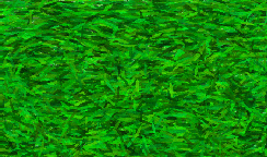gr-oilbk.gif