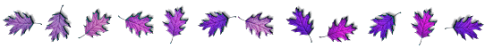 purple leaf bar