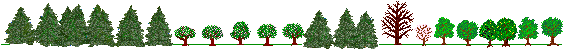 mytree_bar-spring2.gif