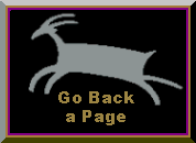 wild-back.GIF