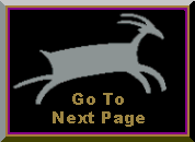 wild-next.GIF