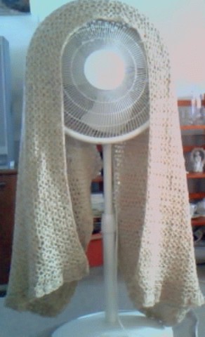 Caron Simply Soft Shawl with Fringe Front.jpg (68695 bytes)