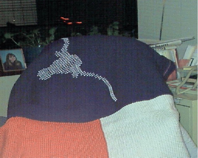 Texas Blanket.JPG (91107 bytes)