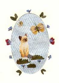 grasses made from top parts of serated leaves, butterfly wings pansy petals, and the perimeter of the card has pieces of leave, some red verbena and forget me nots