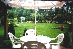 view looking into the garden from the back door